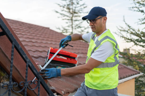 Best Wall Insulation Installation  in Nappanee, IN